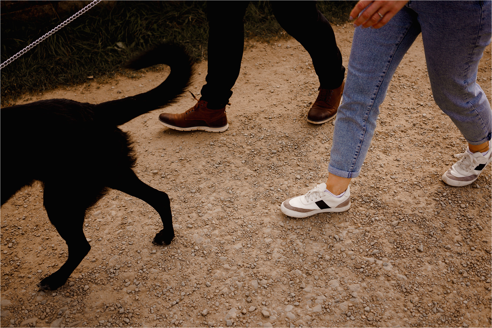 Shot of couples feet with their dog